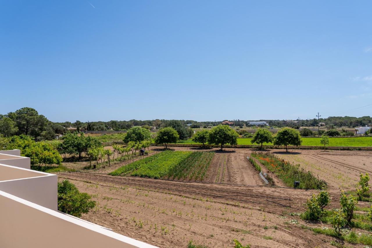 Apartamentos Marcelino - Formentera Break Es Pujols Exterior photo